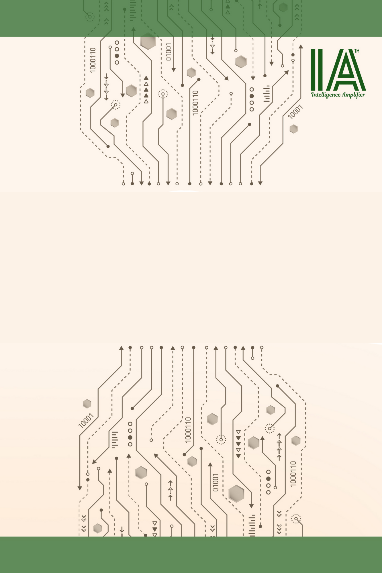 Intelligence Amplifier circuit board pattern
